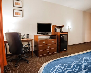 Room, 1 King Bed