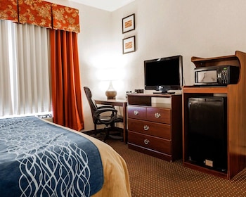 Room, 1 King Bed