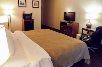 Room, 1 King Bed