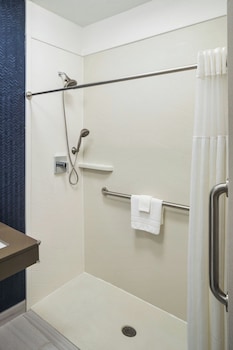 Room, 1 King Bed, Hearing Accessible (Roll-in Shower)