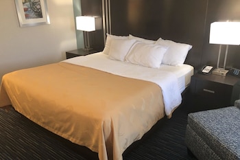 Standard Room, 1 King Bed, Non Smoking