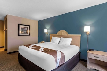 Standard Room, 1 King Bed, Non Smoking
