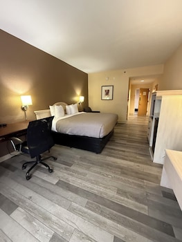 Room, 1 King Bed, Accessible, Non Smoking