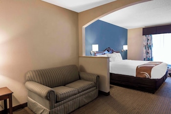 Suite, 1 King Bed with Sofa bed, Non Smoking