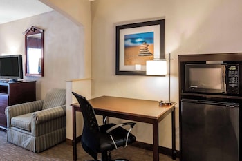 Suite, 1 King Bed with Sofa bed, Non Smoking