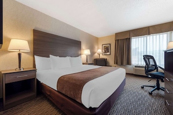 Standard Room, 1 King Bed, Accessible, Refrigerator & Microwave (Pet Friendly)