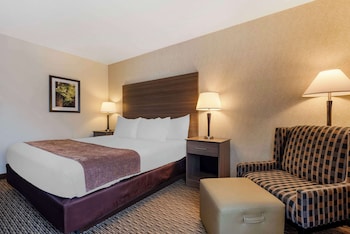 Standard Room, 1 King Bed, Accessible, Refrigerator & Microwave (Pet Friendly)