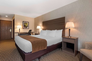 Executive Room, 1 King Bed, Non Smoking, Refrigerator & Microwave