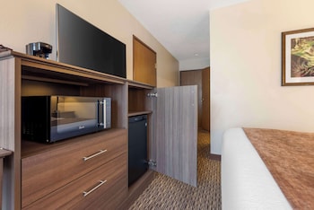 Standard Room, 1 King Bed, Accessible, Refrigerator & Microwave (Pet Friendly)