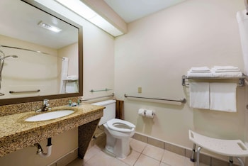 Standard Room, 1 King Bed, Accessible, Refrigerator & Microwave (Pet Friendly)