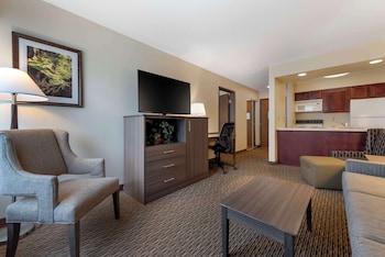 Suite, 1 King Bed, Non Smoking, Kitchen (Living Room;w/ Sofabed, Full Kitchen)