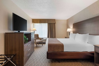 Suite, 1 King Bed, Non Smoking, Kitchen (Living Room;w/ Sofabed, Full Kitchen)