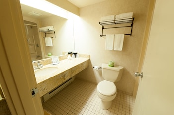 Standard Room, 2 Double Beds