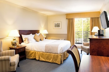 Standard Room, 1 Queen Bed, Pets Not Allowed
