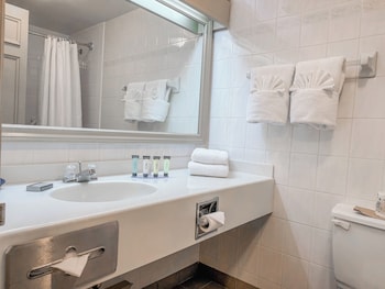 Standard Double Room, 2 Double Beds, Pets Not Allowed