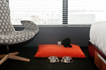 Standard Room, 1 Queen Bed