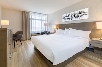Family Suite, Multiple Beds
