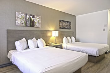 Standard Room, 2 Queen Beds