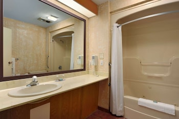 Deluxe Suite, 1 Queen Bed, Non Smoking (One-Bedroom)