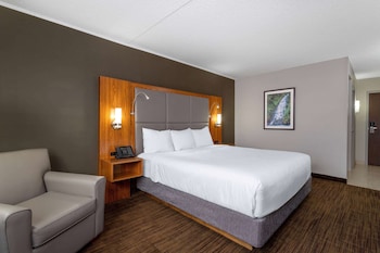Room, 1 King Bed, Accessible, Non Smoking (Tub with Grab Bars)