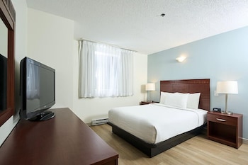 Business Suite