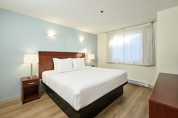 Suite, 1 Bedroom