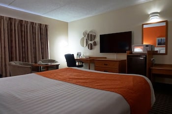 Studio Suite, 1 Queen Bed, Non Smoking