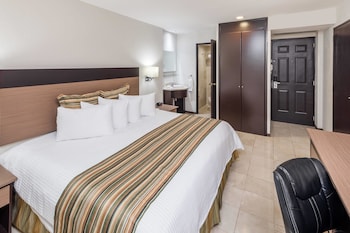 Room, 1 King Bed, Non Smoking