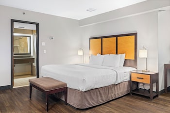 Superior King Suite