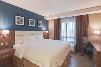 Suite, 1 Bedroom