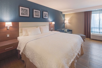 Room, 1 King Bed with Sofa bed (Study)