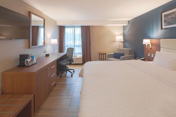 Room, 1 King Bed, Accessible, Non Smoking