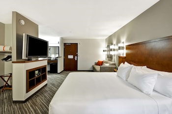 Room, 1 King Bed, Accessible (Roll-In Shower, No Sofabed)