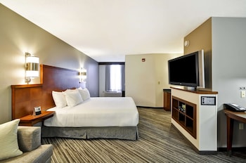Room, 1 King Bed, Accessible (Roll-In Shower, No Sofabed)