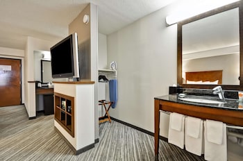 Room, 1 King Bed, Accessible (Roll-In Shower, No Sofabed)