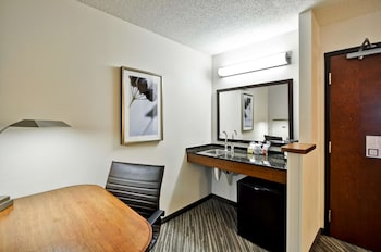 Room, 1 King Bed, Accessible (Roll-In Shower, No Sofabed)
