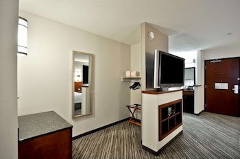 Room, 1 King Bed, Accessible (Roll-In Shower, No Sofabed)