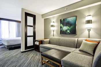 Room, 1 King Bed (& Sofabed)