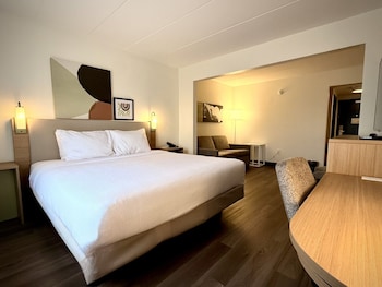 Studio, 1 King Bed