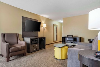 Suite, 1 King Bed, Non Smoking