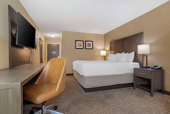 Standard Room, 1 King Bed, Non Smoking