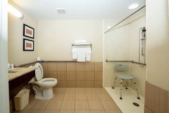 Room, 1 King Bed, Accessible, Non Smoking