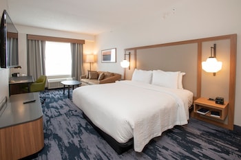 Room, 1 King Bed with Sofa bed, Roll-in Shower