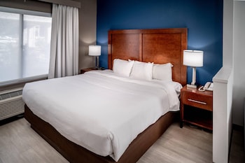Suite, 1 King Bed with Sofa bed, Non Smoking
