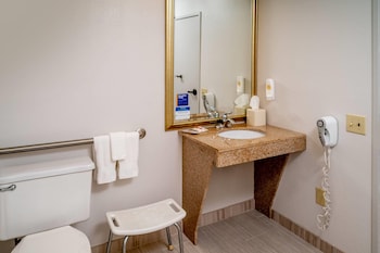 Suite, 1 King Bed with Sofa bed, Accessible, Non Smoking