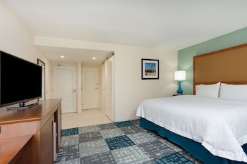 Room, 1 King Bed, Non Smoking, Refrigerator & Microwave