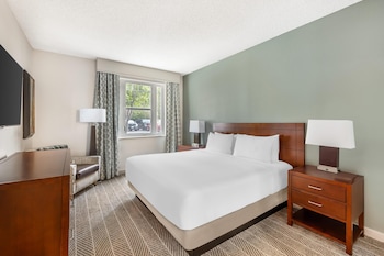 1 BEDROOM 1 KING SUITE WITH SOFABED