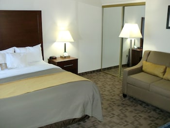 Standard Room, 1 King Bed, Non Smoking
