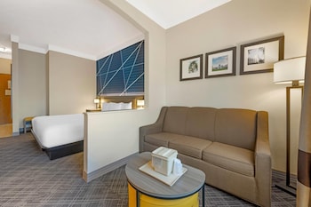 Room, 1 King Bed, Non Smoking