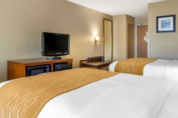 Standard Room, 2 Queen Beds